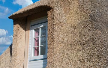 Dovendale thatch roof disadvantages